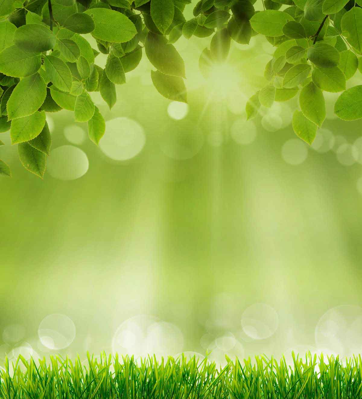 Conservatory roof insulation by Conservandsave